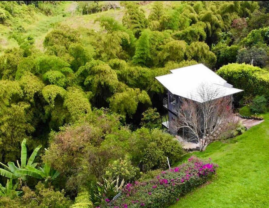 Holiday home Entre Bambus Pereira