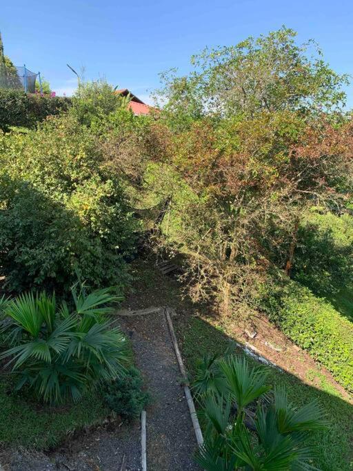 Entre Bambus Holiday home Pereira