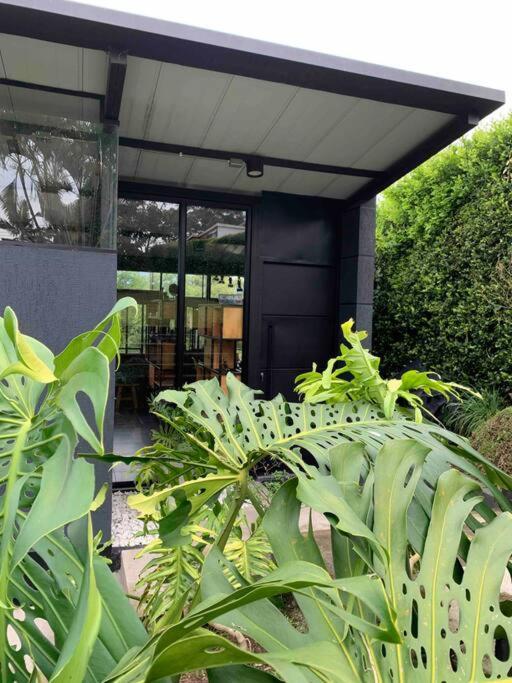 Entre Bambus Holiday home *